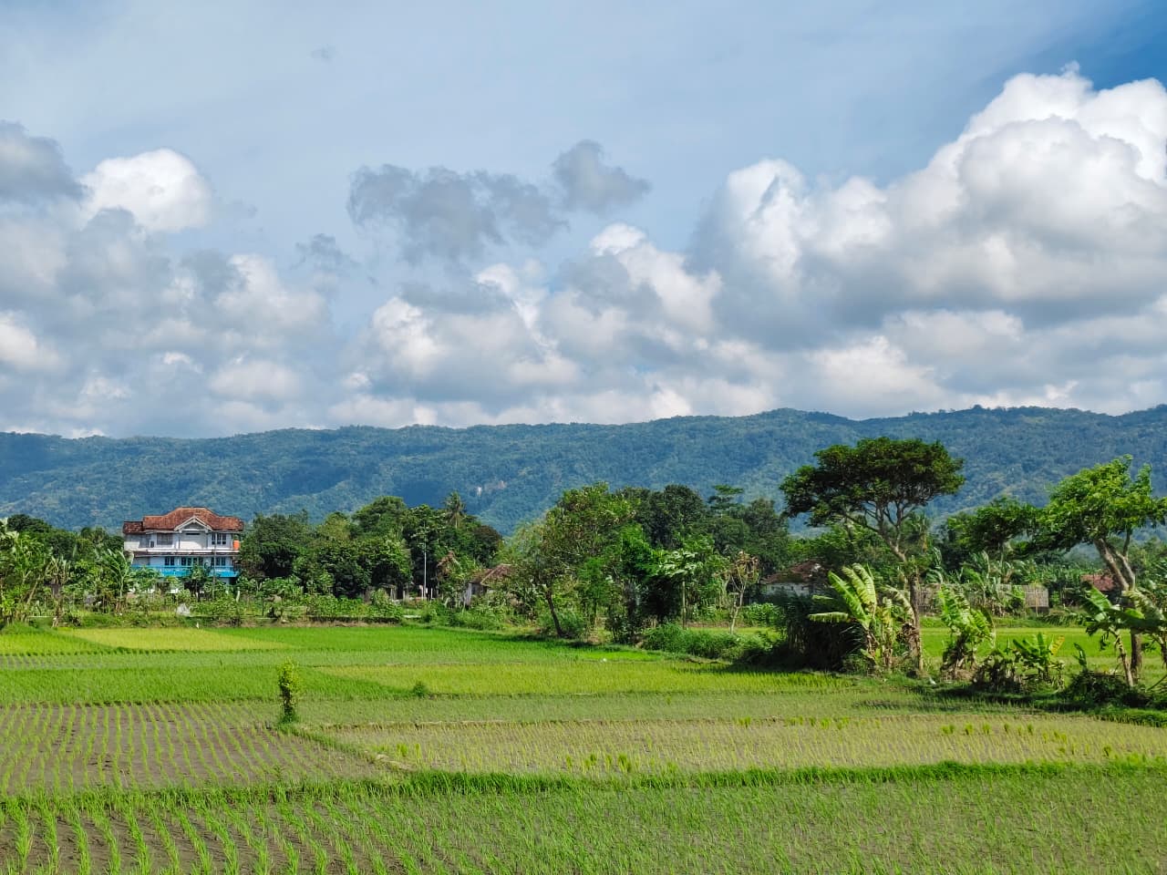 Pemandangan Dukuh Kuwon